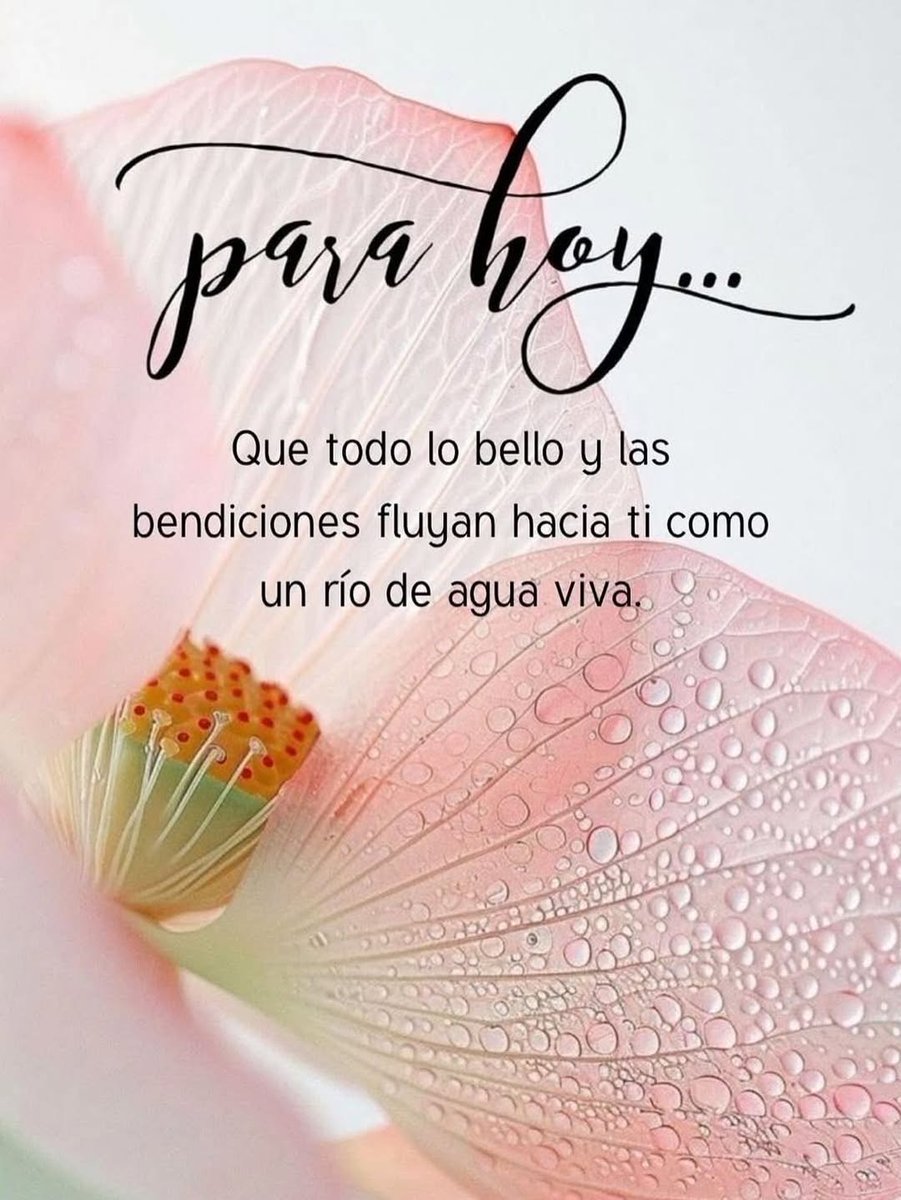 Rebeca Barba 💜🇲🇽🇰🇷🇪🇦💜 tweet media