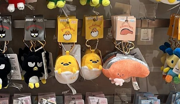 stefff🐬 tweet media