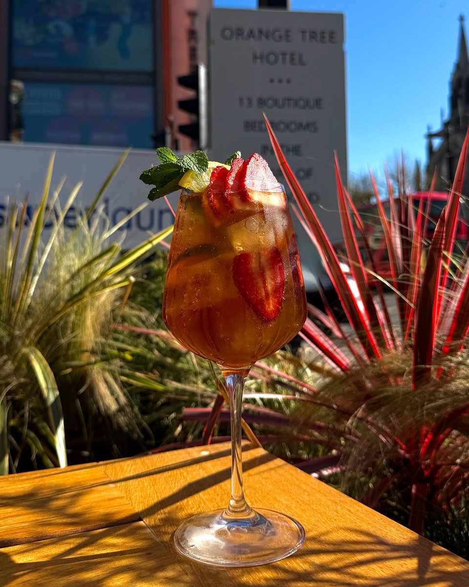 Orange Tree Hotel tweet media