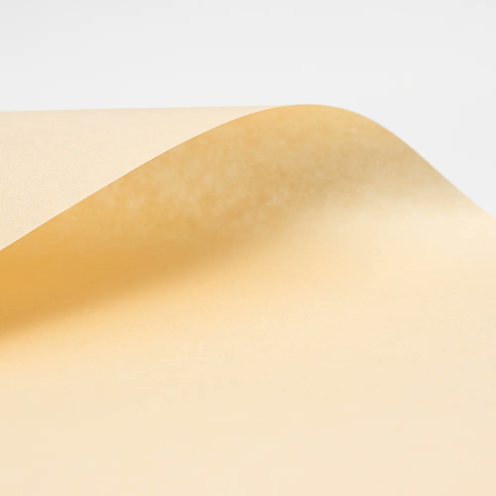 アワガミファクトリー【公式】 tweet media