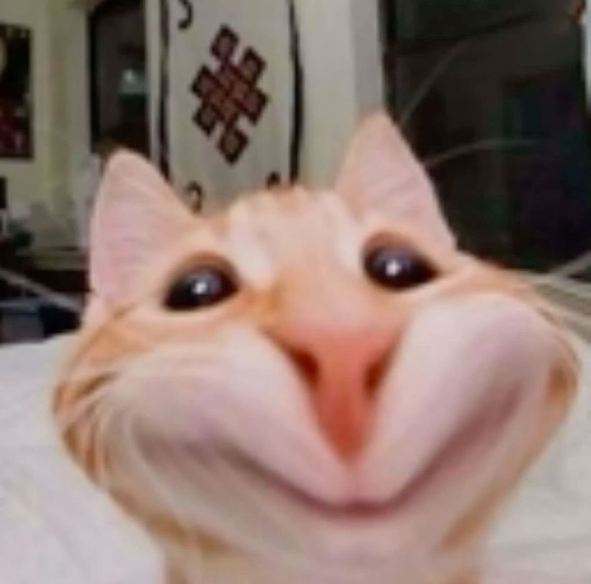 uvita! 🇨🇱 VERÁ A BTS tweet media