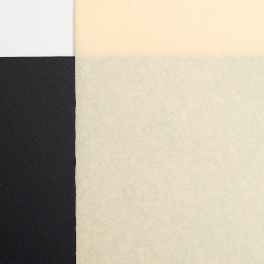 アワガミファクトリー【公式】 tweet media