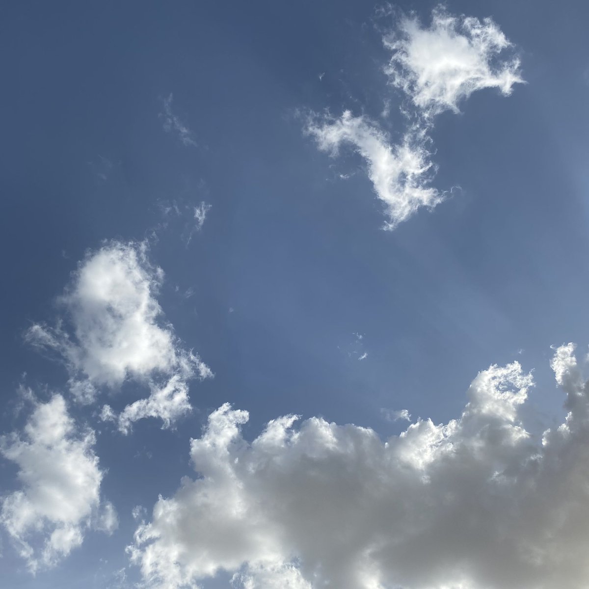 𝙴𝚂𝚁𝙰𝙰 ☕︎︎ tweet media