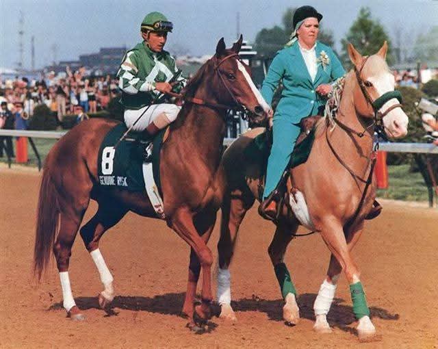 HORSE RACING 100 tweet media