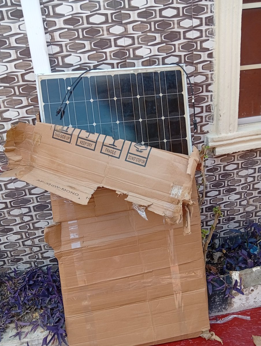 Noßle◈ tweet media