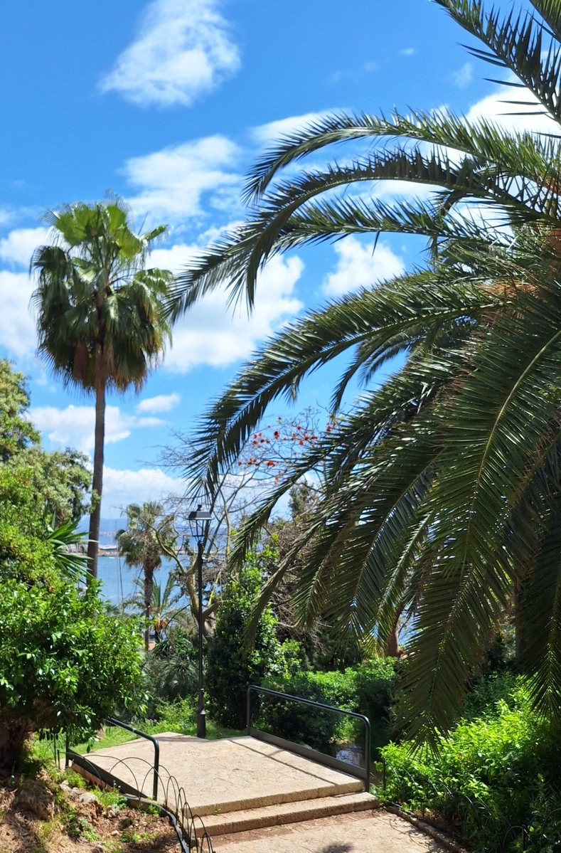 ✧*̥˚🩷𝐴𝑑𝑟𝑖𝑠𝑦𝑏🩷˚*̥✧ tweet media