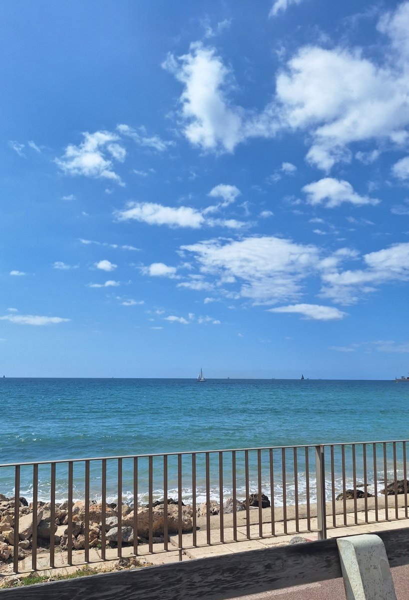 ✧*̥˚🩷𝐴𝑑𝑟𝑖𝑠𝑦𝑏🩷˚*̥✧ tweet media