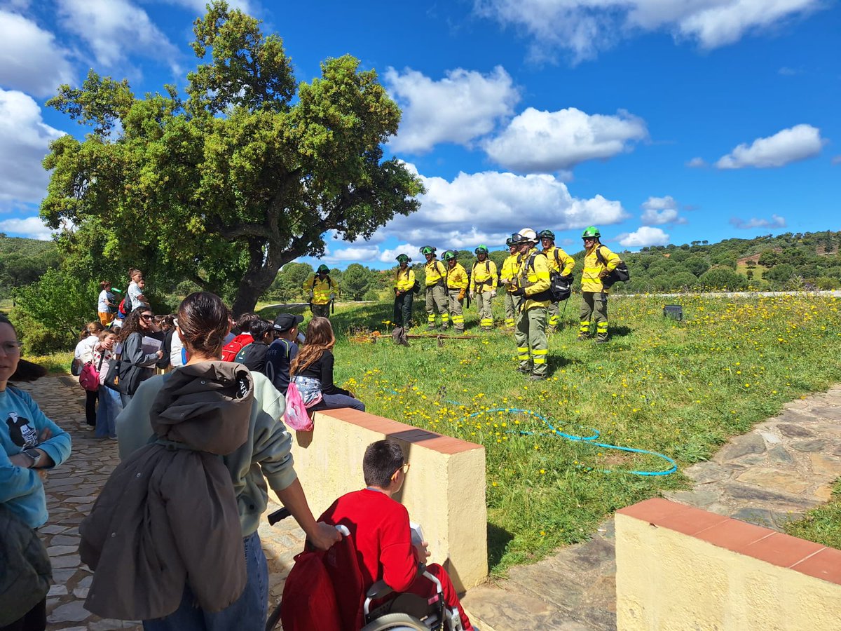 EMA INFOCA tweet media