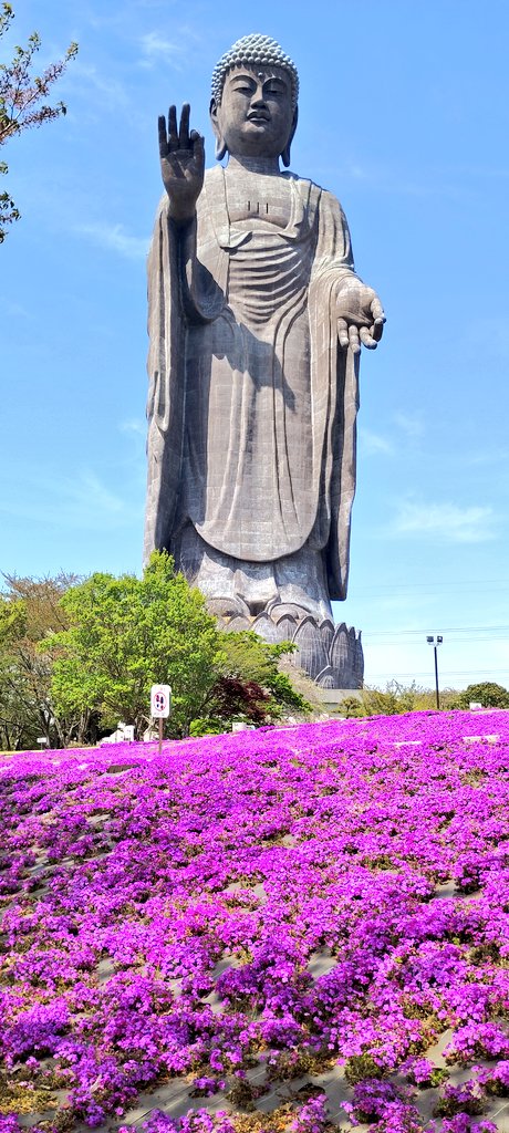 くっしー🚄✈⛩️🔜🇰🇷🇯🇵🇼🇸 tweet media