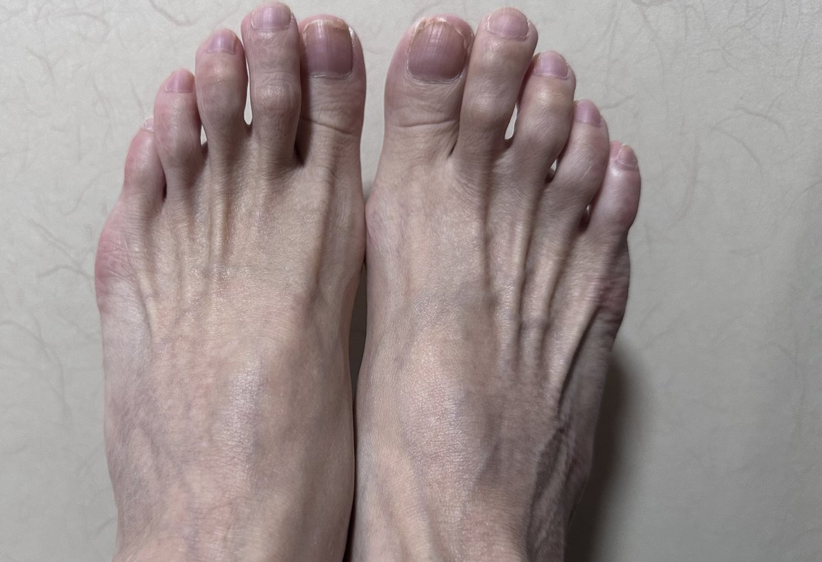 ぽん🎸🦋🧸 tweet media