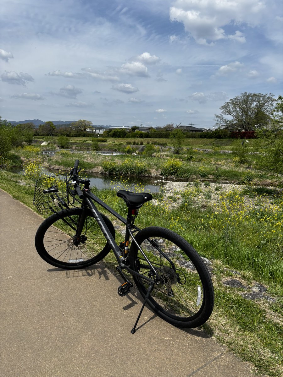 この季節、幸せな自転車通勤