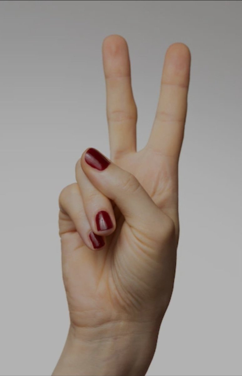 Lady Bug 🦋 🇺🇸✡️🐞✝️🇮🇱🦋 tweet media