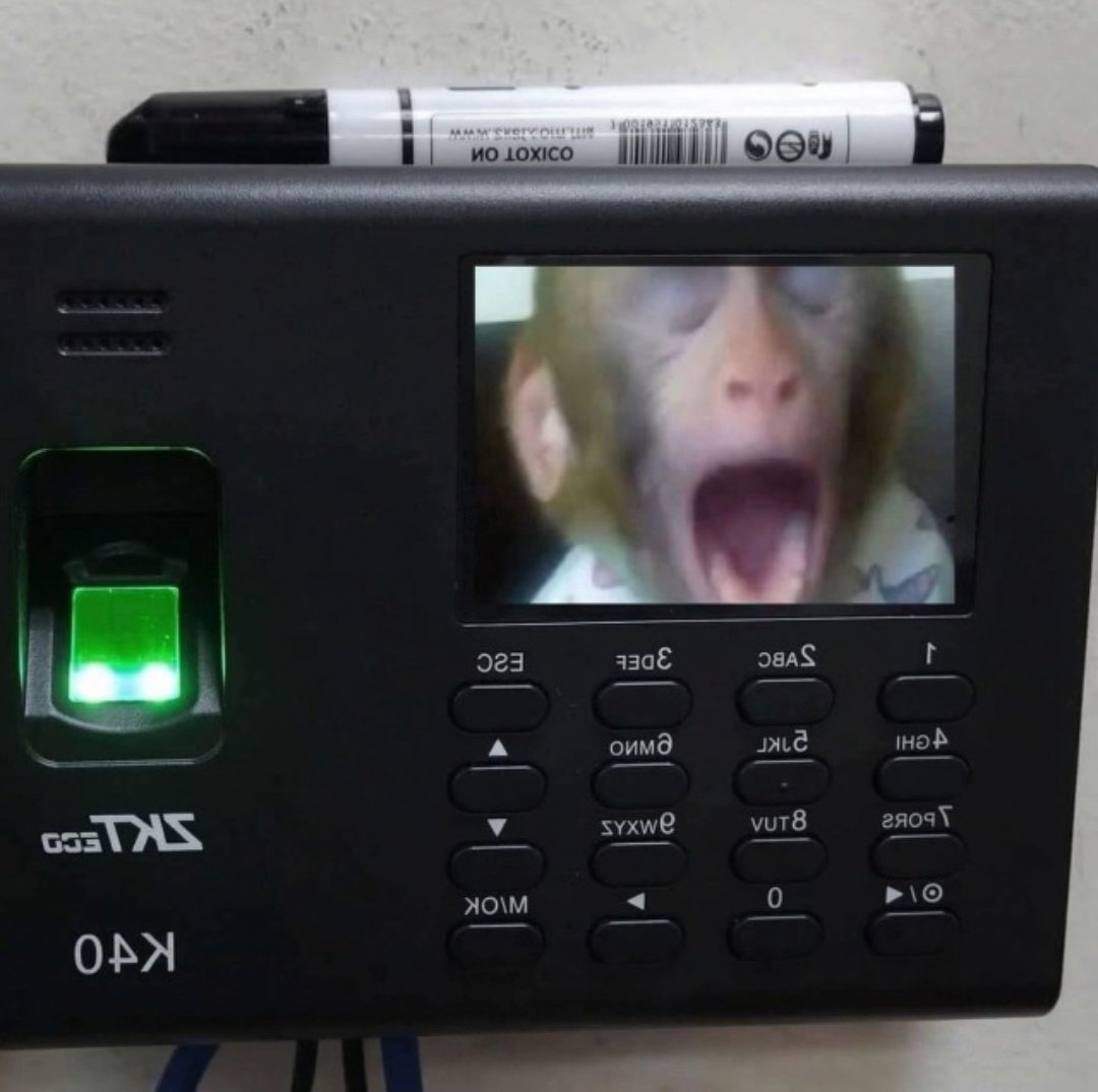 -Acceso correcto.

Yo: