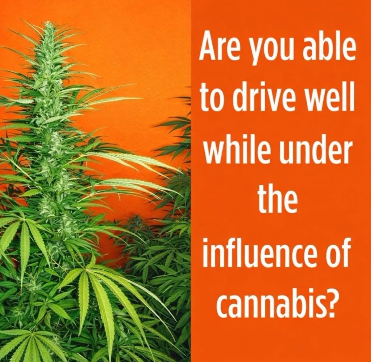 𝒜𝓃𝑔𝑒𝓁🪽 tweet media