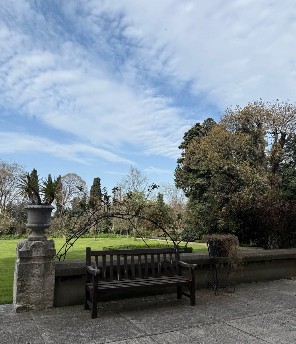 Hande_CC tweet media