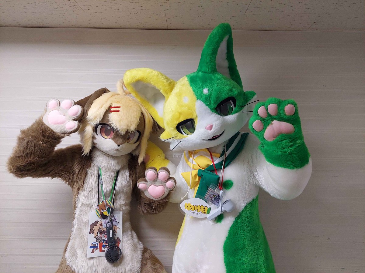 アビータ🐶@Furry tweet media
