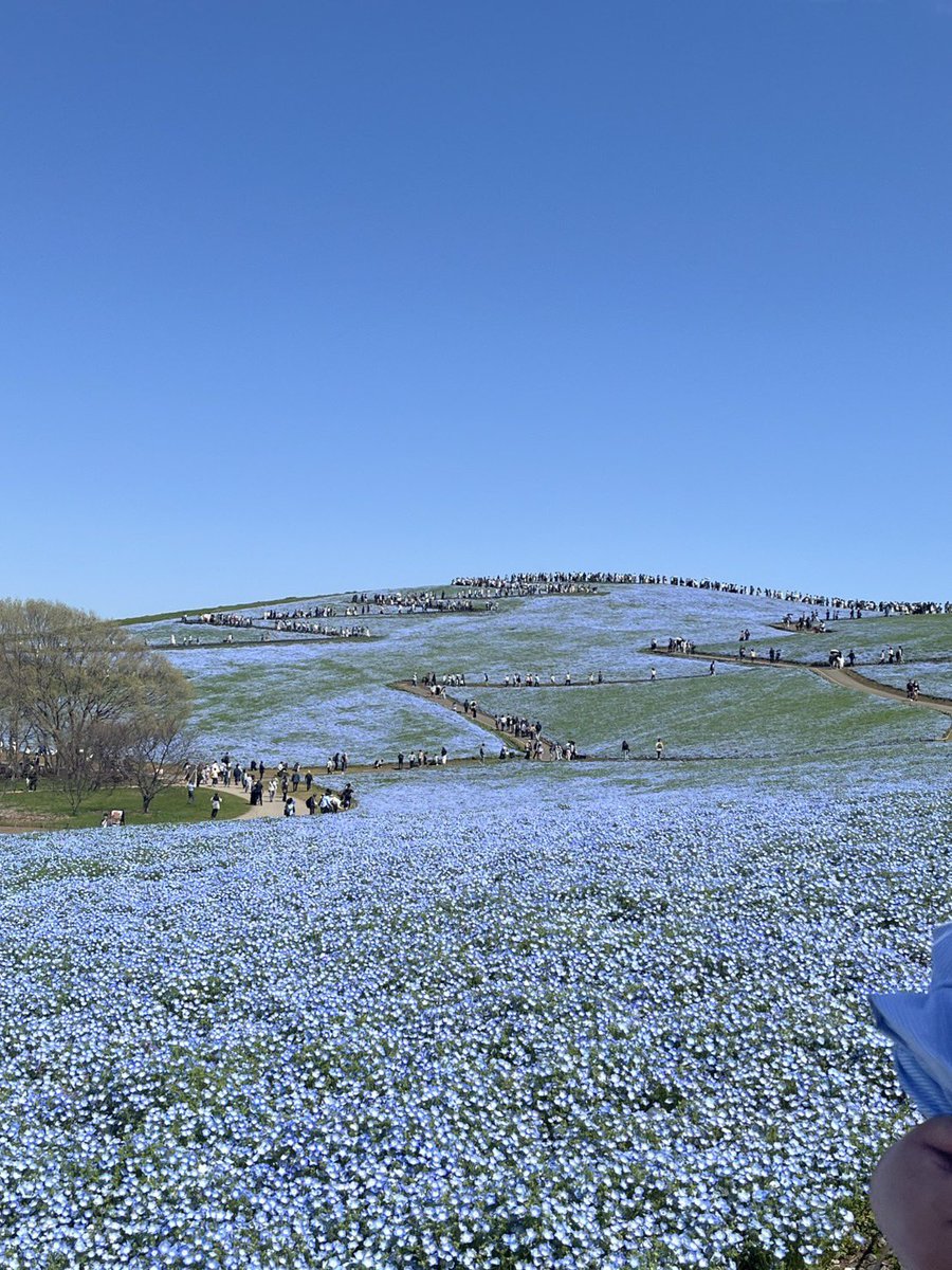 🆕あーるぐれい tweet media