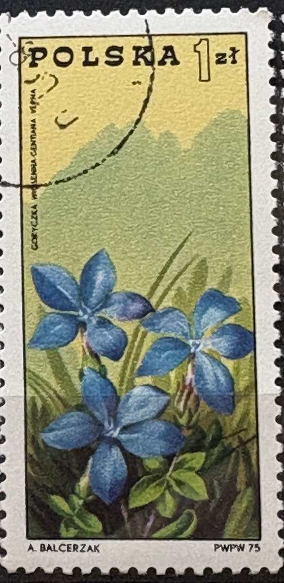 VicenteKster's tweet image. Hello!
Picardie 🇫🇷 
Poland 🇵🇱 
Papua &amp;amp; New Guinea
🔍 🔍 
#flowers #stampcollecting #post #postage #sellos #postes #philately 🌺 🌹 🌼🍀🌸🪻💐🌷🌻🪷