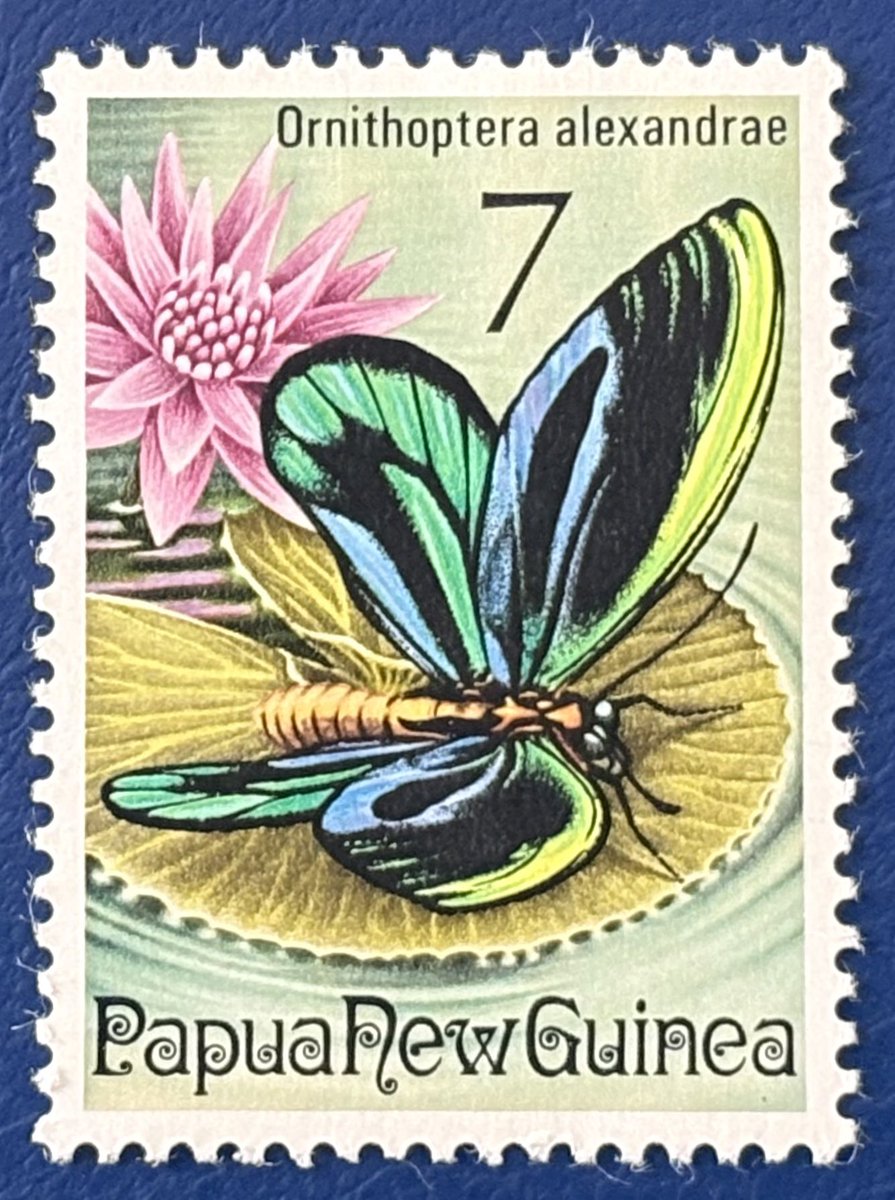 VicenteKster's tweet image. Hello!
Picardie 🇫🇷 
Poland 🇵🇱 
Papua &amp;amp; New Guinea
🔍 🔍 
#flowers #stampcollecting #post #postage #sellos #postes #philately 🌺 🌹 🌼🍀🌸🪻💐🌷🌻🪷