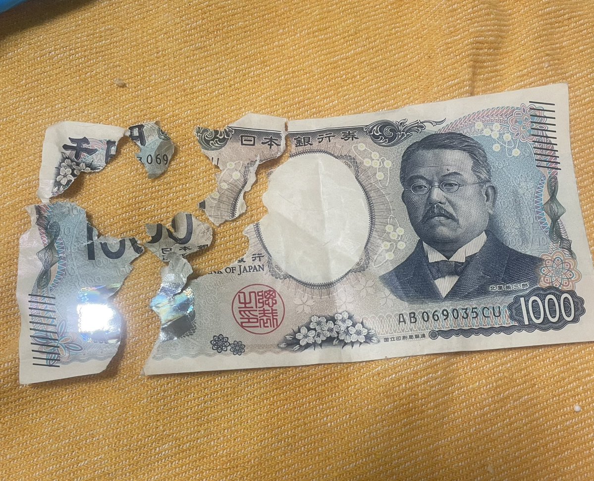 まさぴろ tweet media