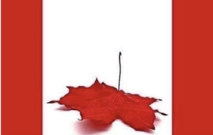 ricmorand11's tweet photo. @tvanouvelles https://t.co/lRwoghZh0o