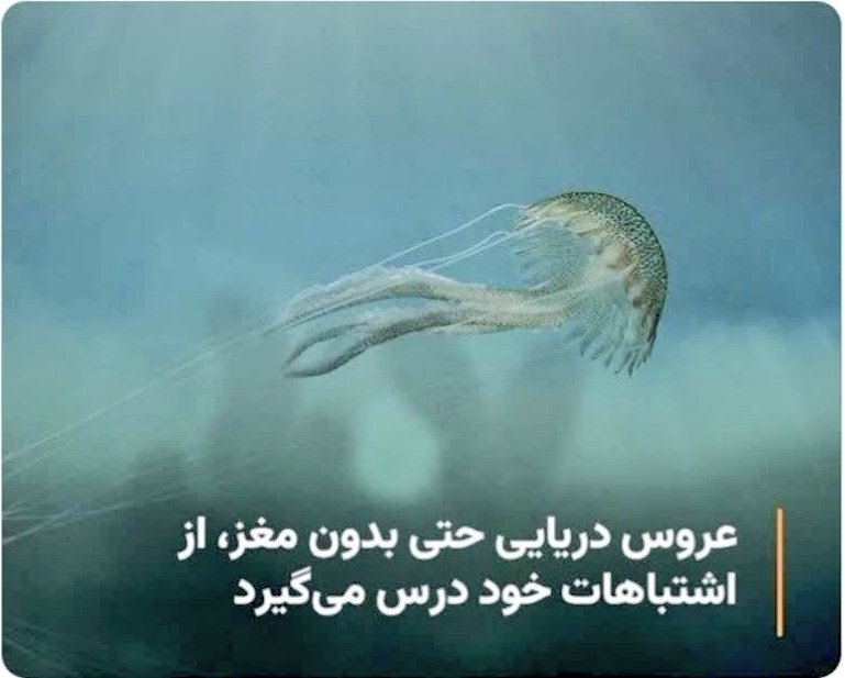 ‏‎ ‏‎dr.amingh94‏‎ tweet media