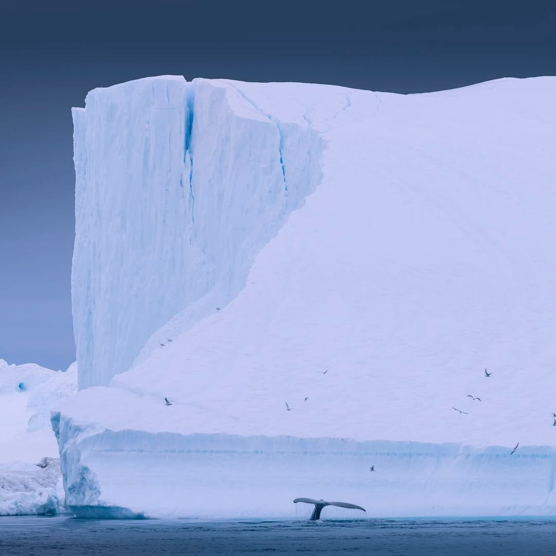 New Year cleaning Set up tree