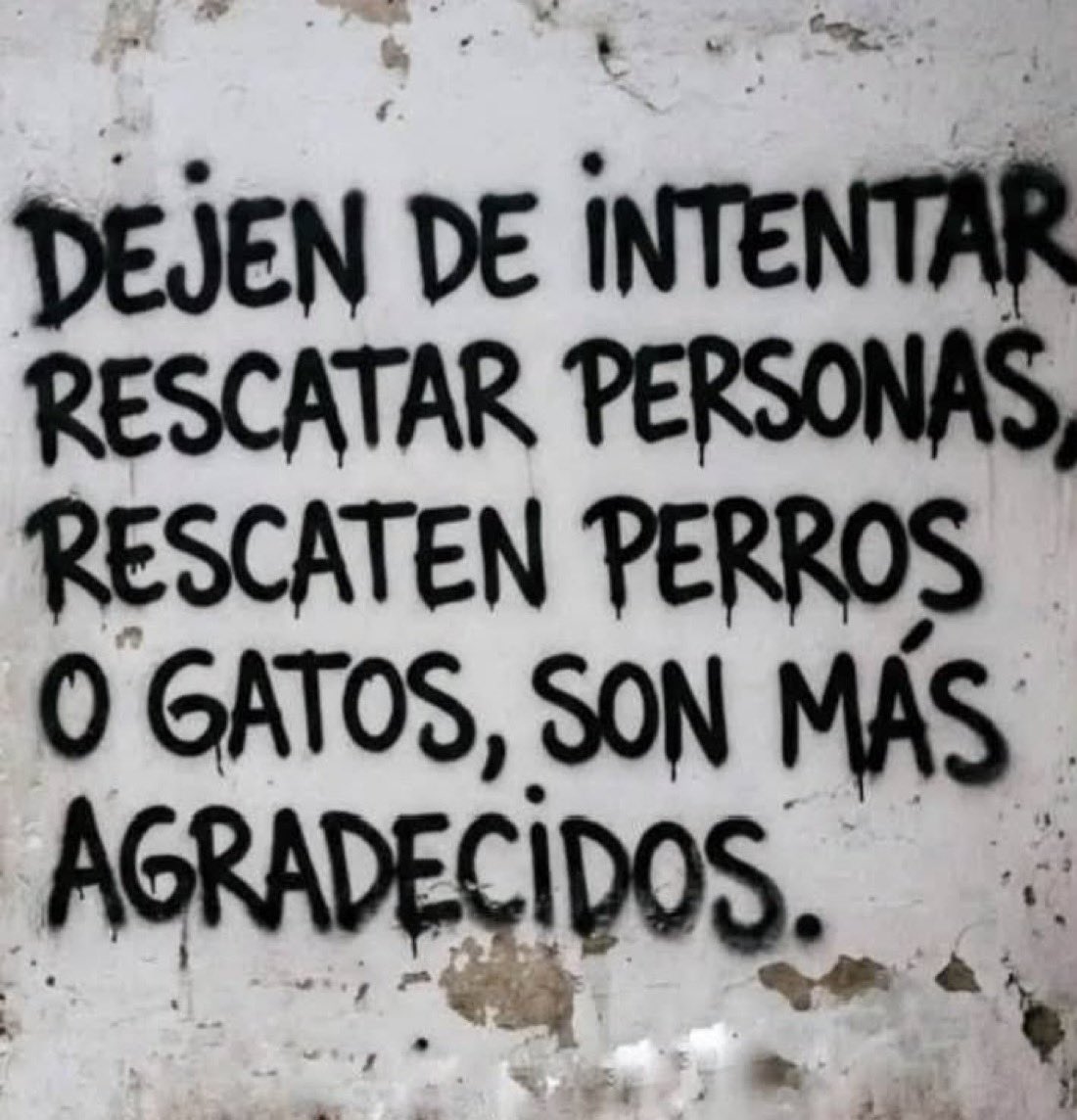 ᴊᴜᴀɴғʀᴀ ʜᴏᴍs tweet media