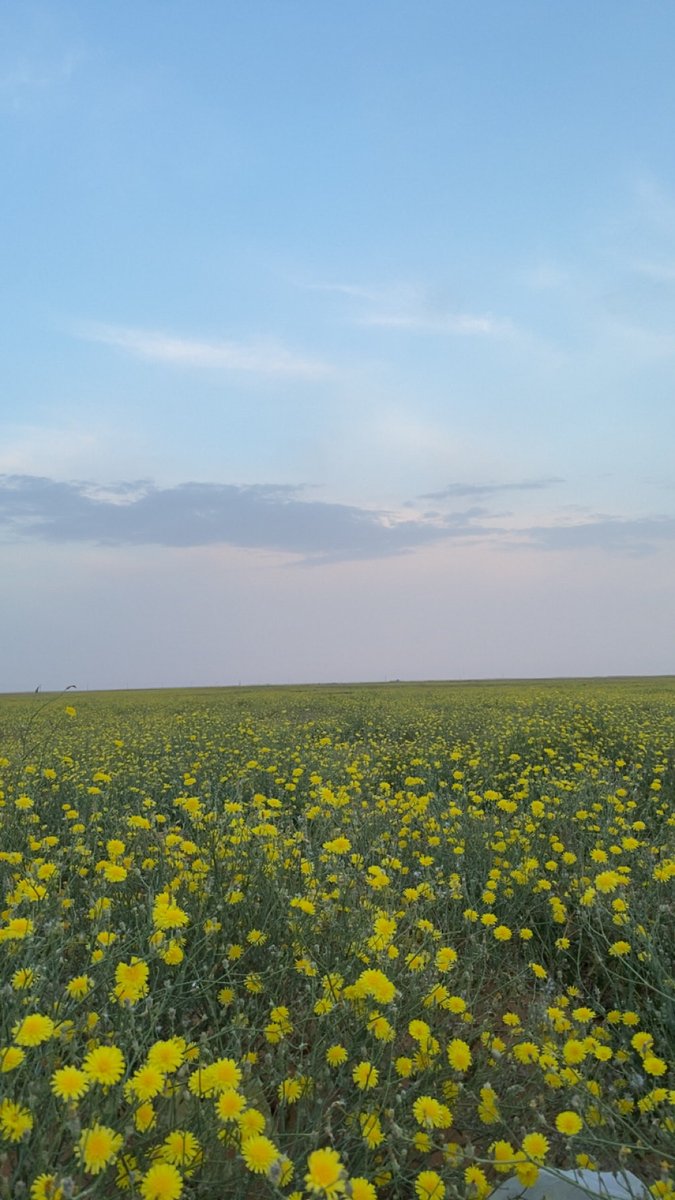 عبدالملك tweet media