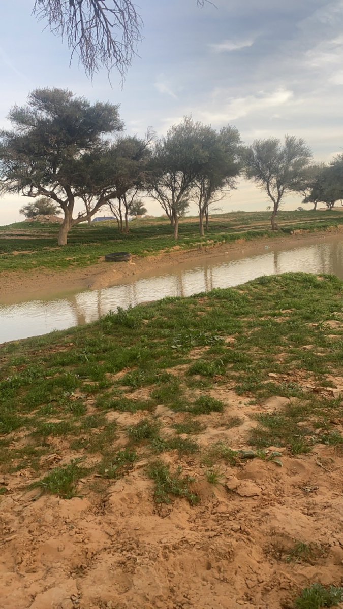 عبدالملك tweet media