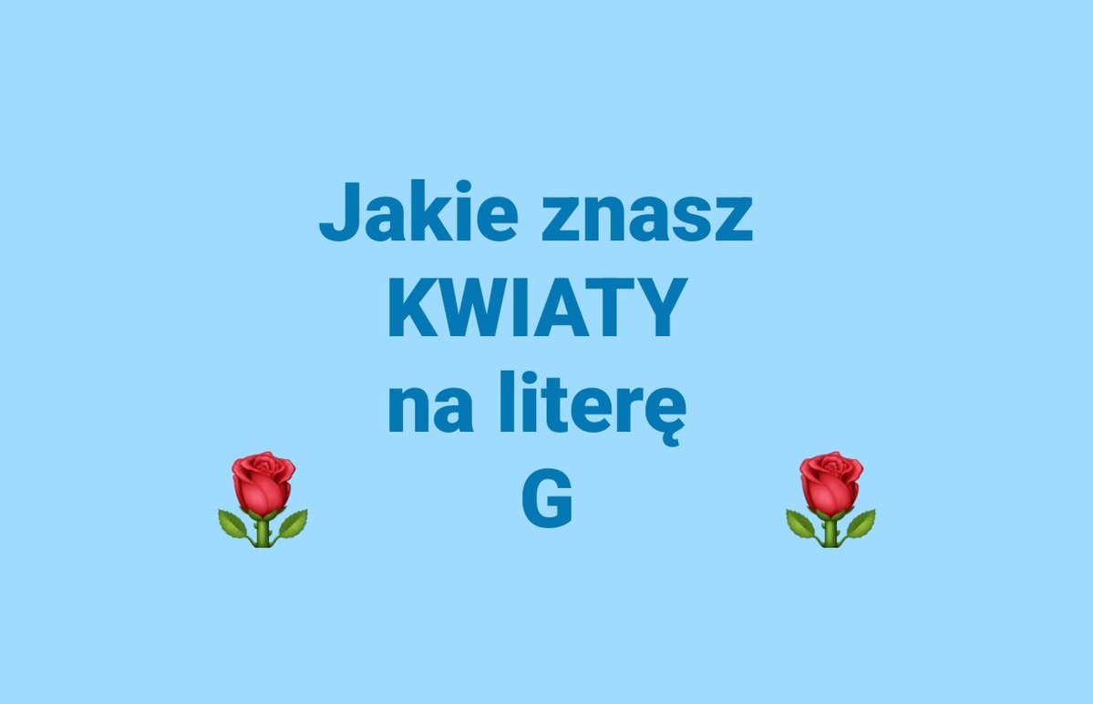 DudekPL4 tweet media