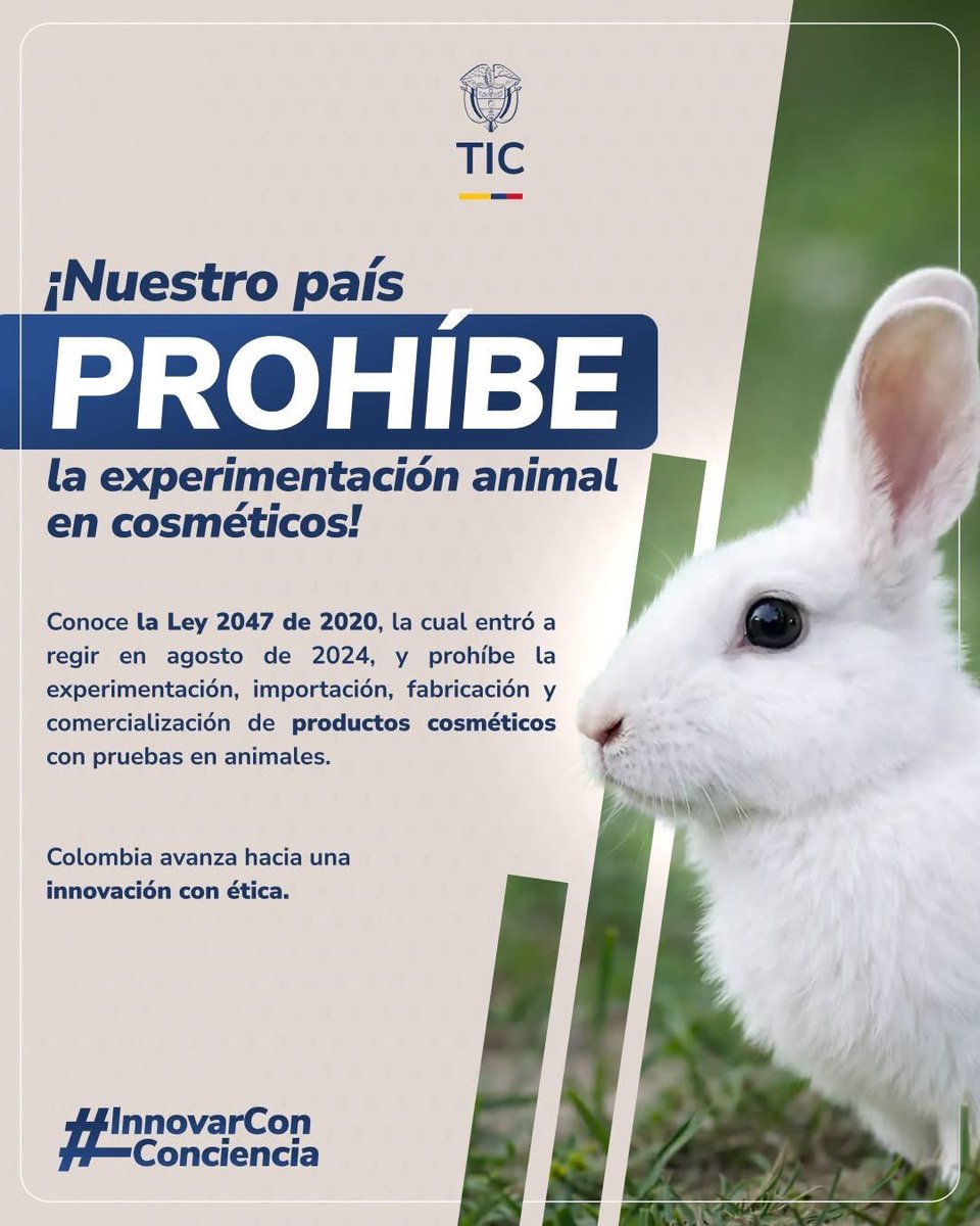 Ministerio TIC tweet media