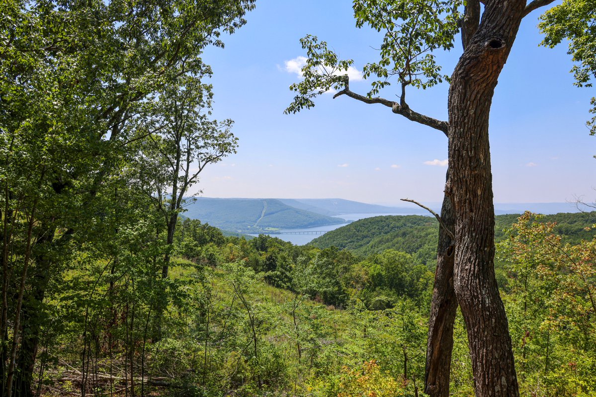 River Gorge Ranch tweet media