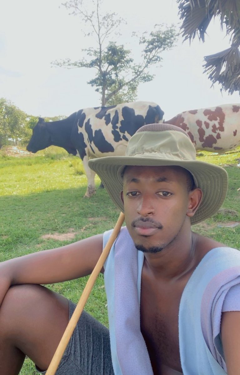 Hon Ivan Tandeka ⚖ tweet media