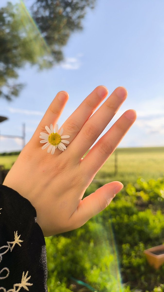 Jiya 🦚 tweet media