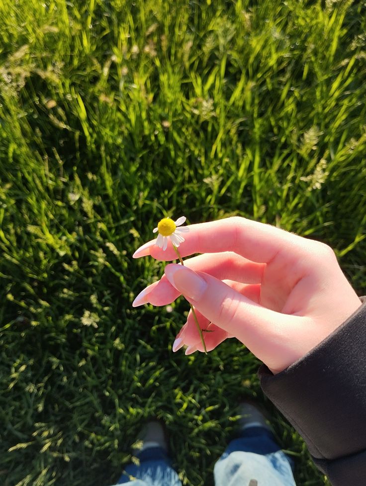 Jiya 🦚 tweet media