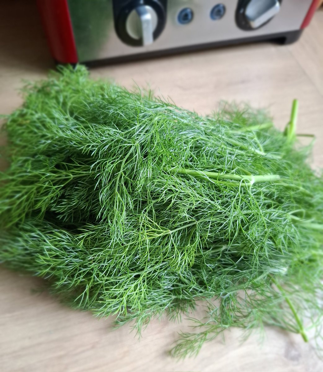 Konami 🐏🍀 tweet media