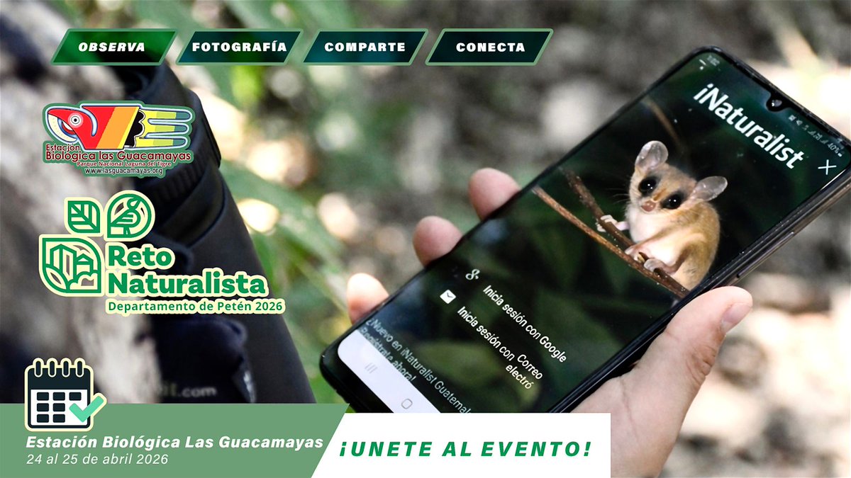 SNIBgt's tweet photo. Los invitamos a participar en esta actividad organizada por uno de nuestros colaboradores. Más información: https://t.co/2EKW3KpbPq
#RetoNaturalistaGT2026 https://t.co/nvCfas9f70