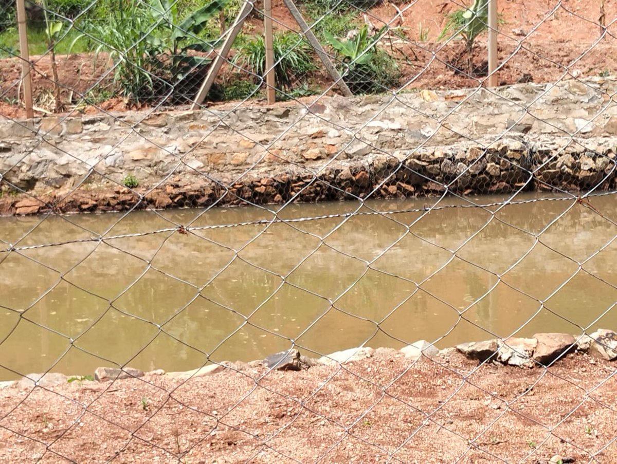 TardaKE's tweet image. 5: The model is clear:
👉 Build the infrastructure
👉 Transfer the knowledge
👉 Secure the impact
TARDA remains committed to irrigation solutions that go beyond completion—equipping communities to lead &amp;amp; sustain. #IrrigationSolutions #EmpoweringCommunities #SustainableDevelopment