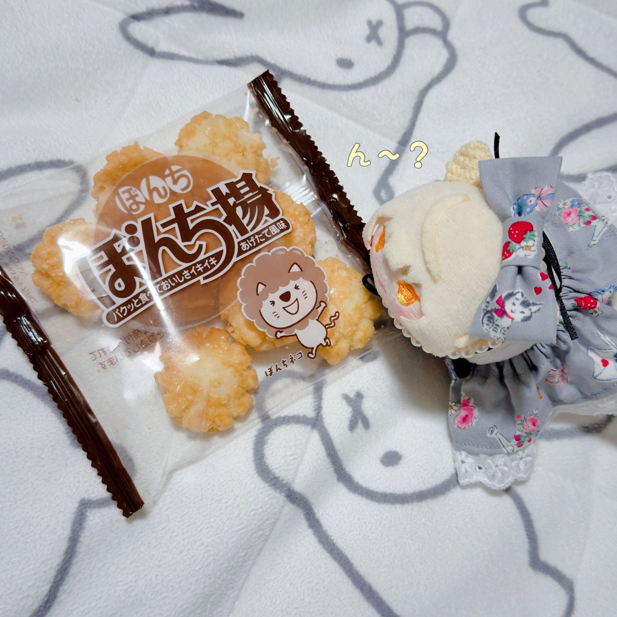 ももぐり🦁📿 tweet media