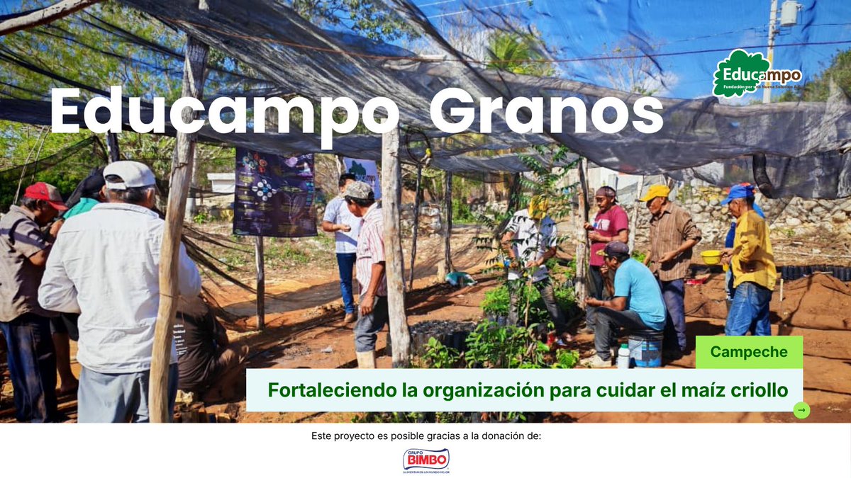 Educampo MX tweet media