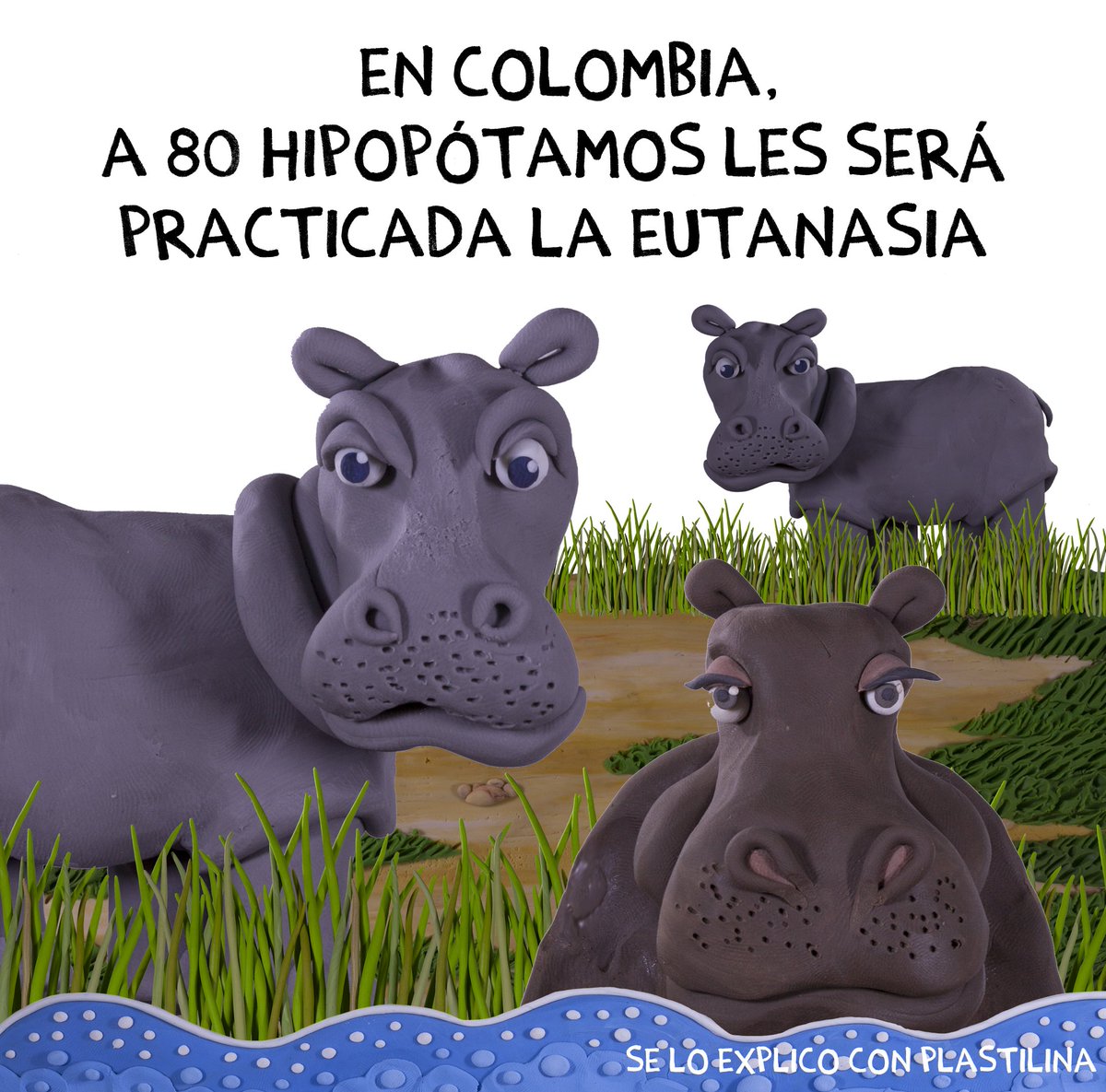 RojoVida tweet media