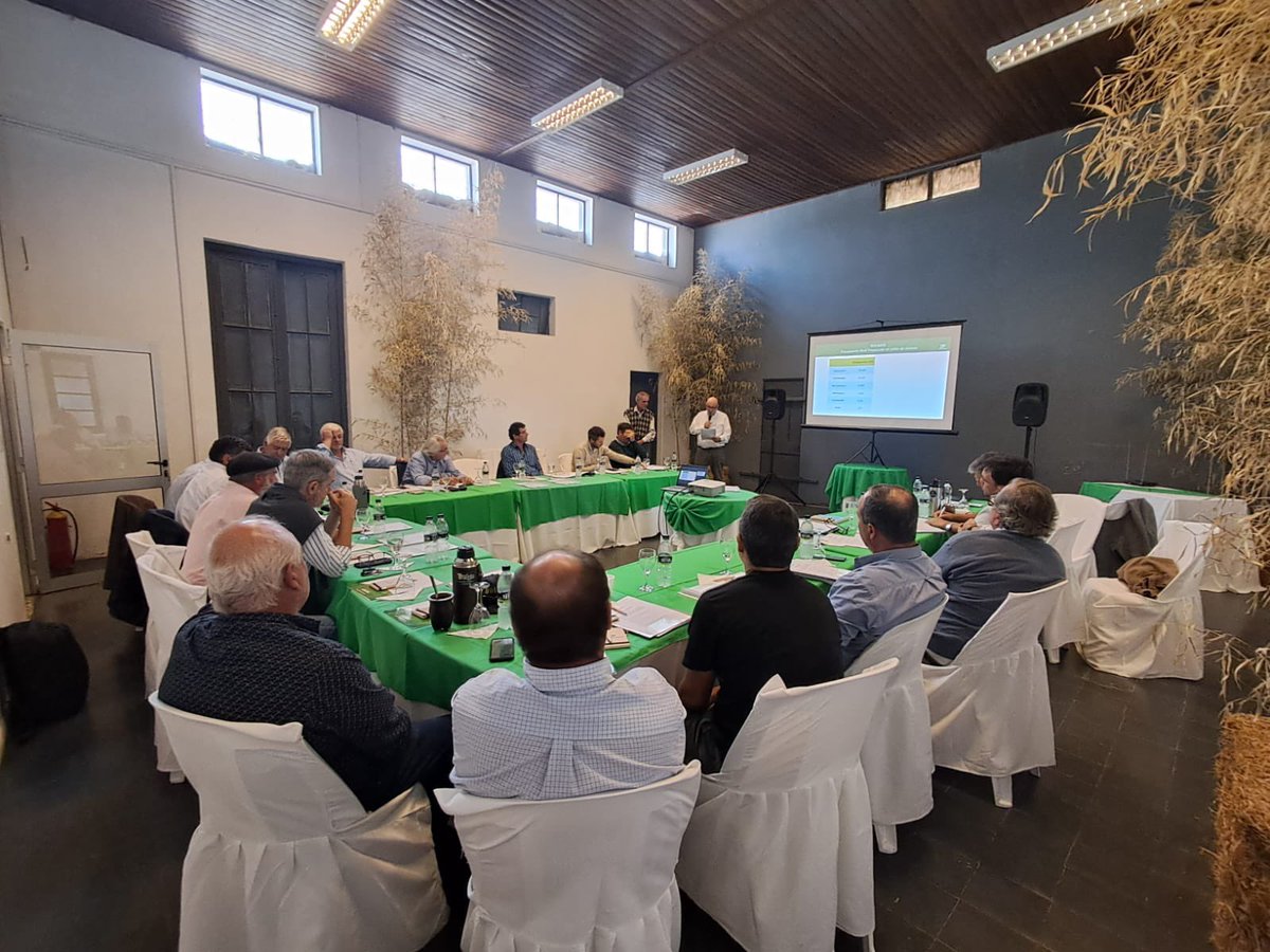 Alejandro Solsona tweet media