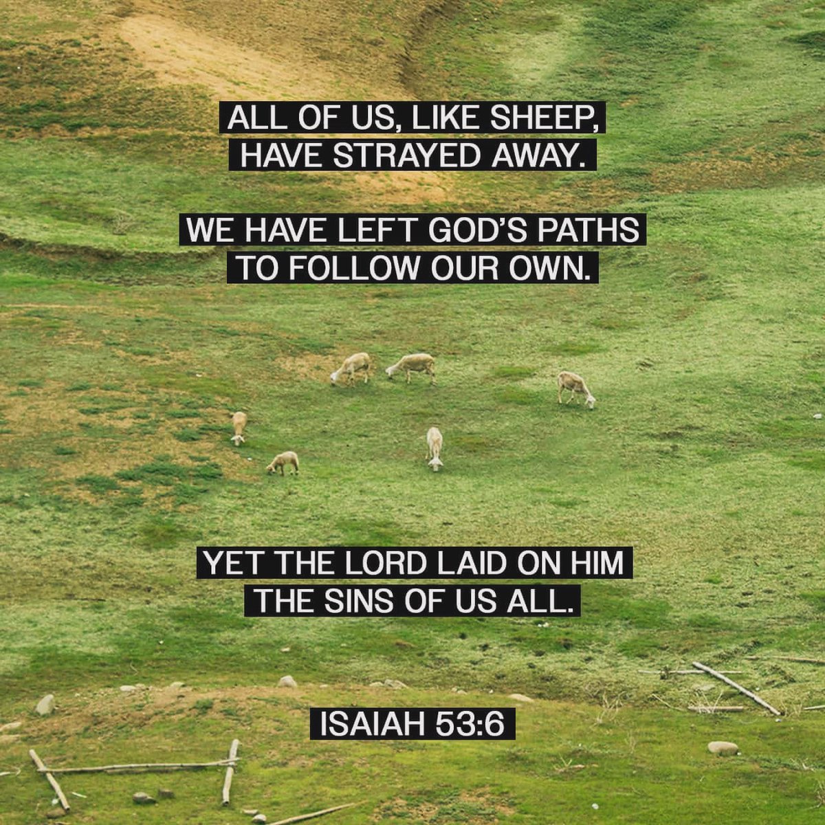 bigwillbrashear's tweet image. Truth Tuesday‼️“If a man has a hundred sheep and one of them wanders away, what will he do? Won’t he leave the ninety-nine others on the hills and go out to search for the one that is lost?” #BeBlessed #GODisGood #VerseOfTheDay #Isaiah53v6🙏🏾🙌🏾🙏🏾🙌🏾
