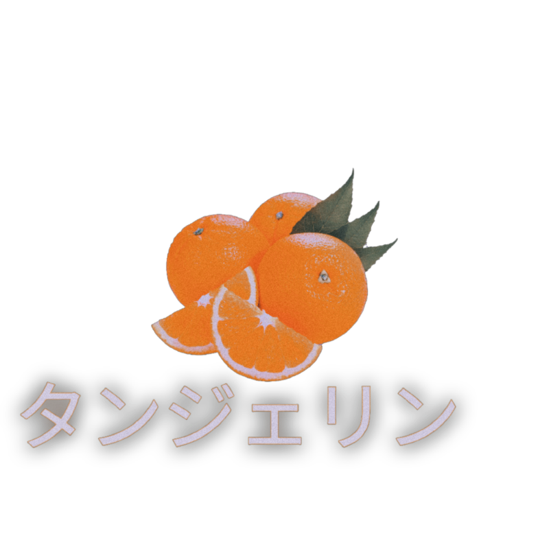 ᅠ◯ᅠᅠ𝐍𝐀𝐌𝐈 tweet media