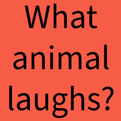 @MCMSpartans tweet media