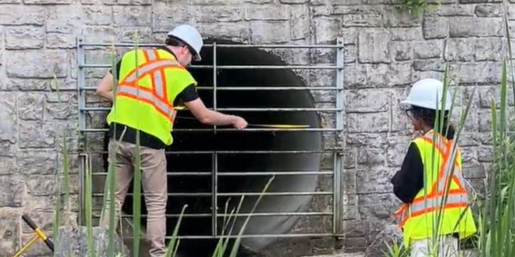 Brampton Grow Green tweet media