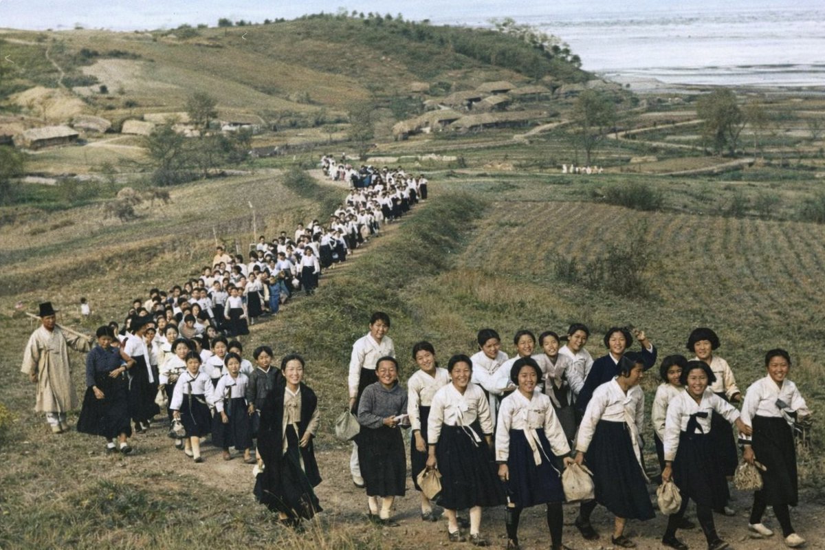 자유날개 FreedomWings 自由の翼 tweet media