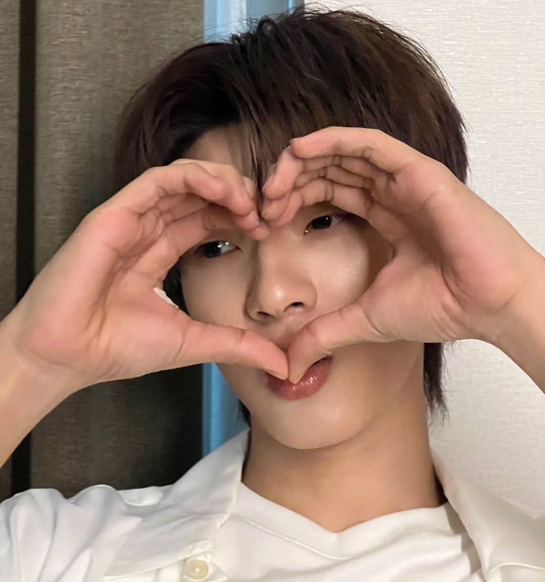 lim ‧˚꒰🐾୭ ˚. ᵎᵎ tweet media