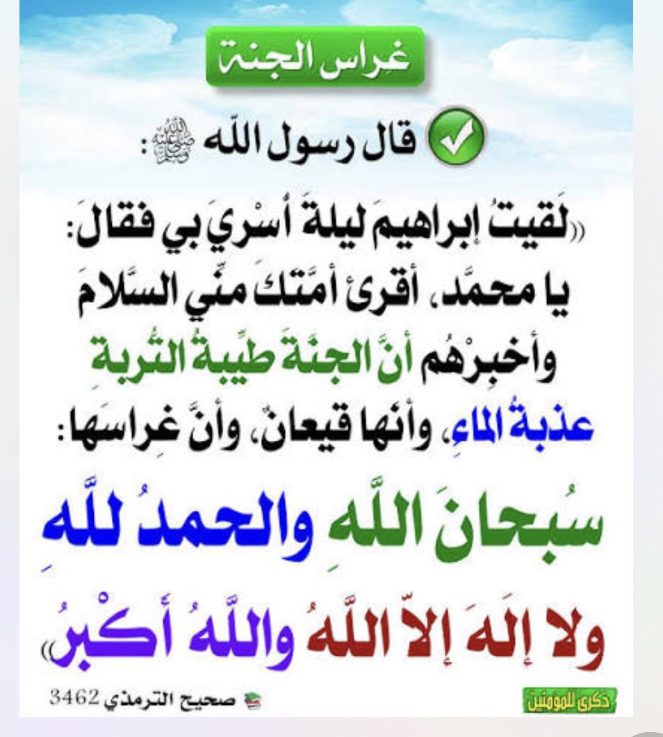 رحاب tweet media